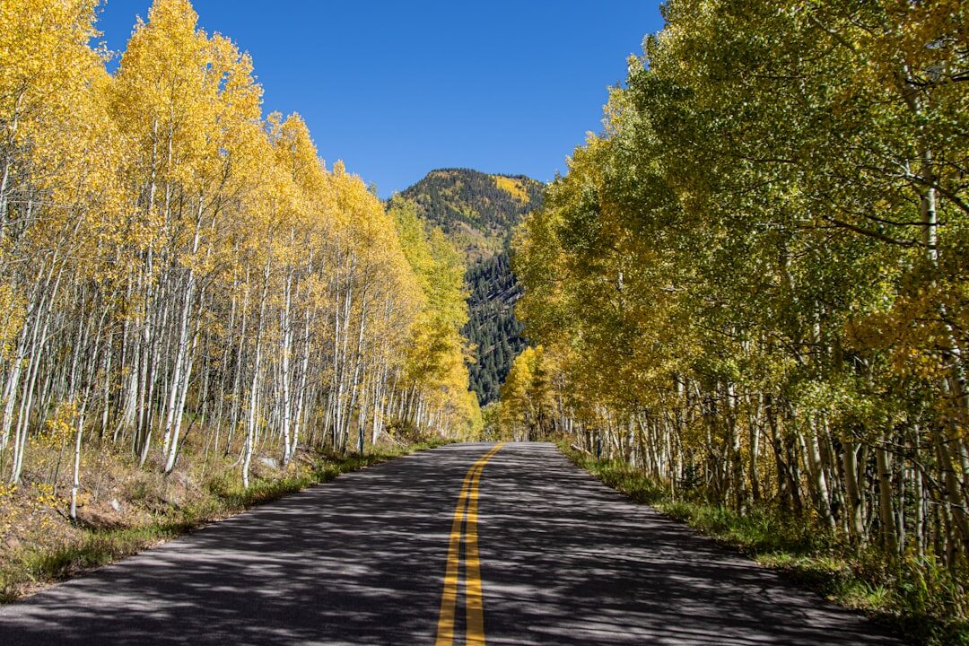 aspen colorado town