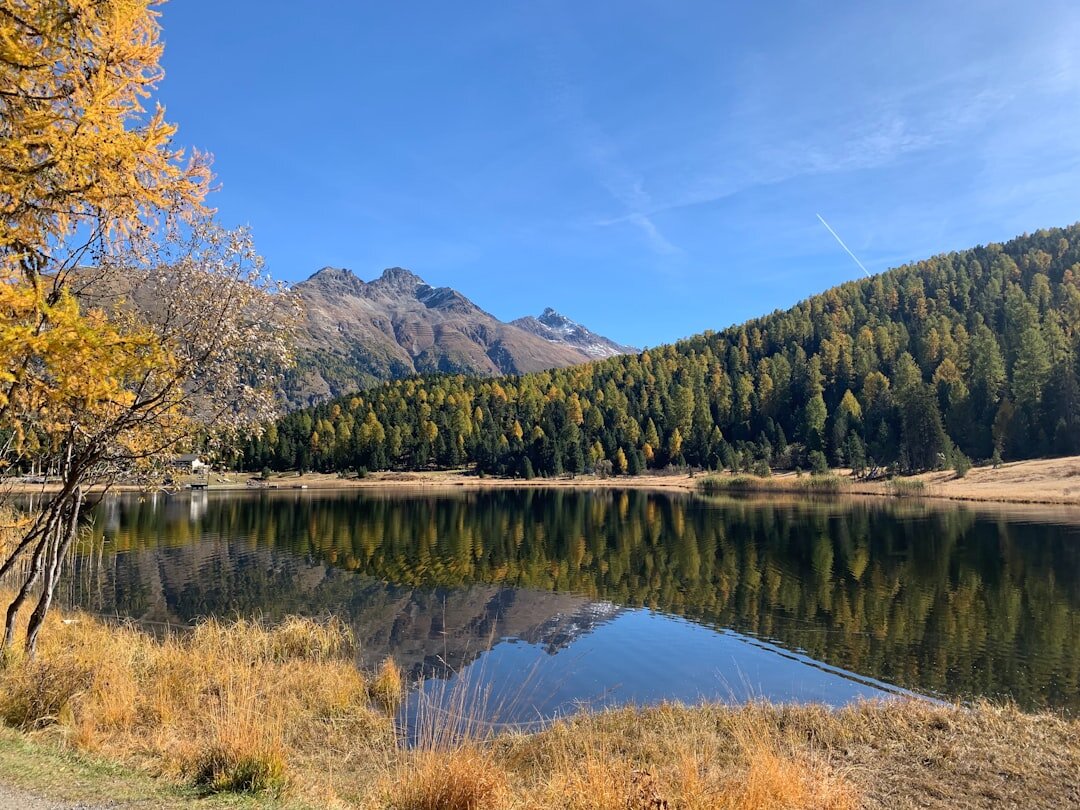 Calm Swiss lake surrounded by forest in autumn colors
