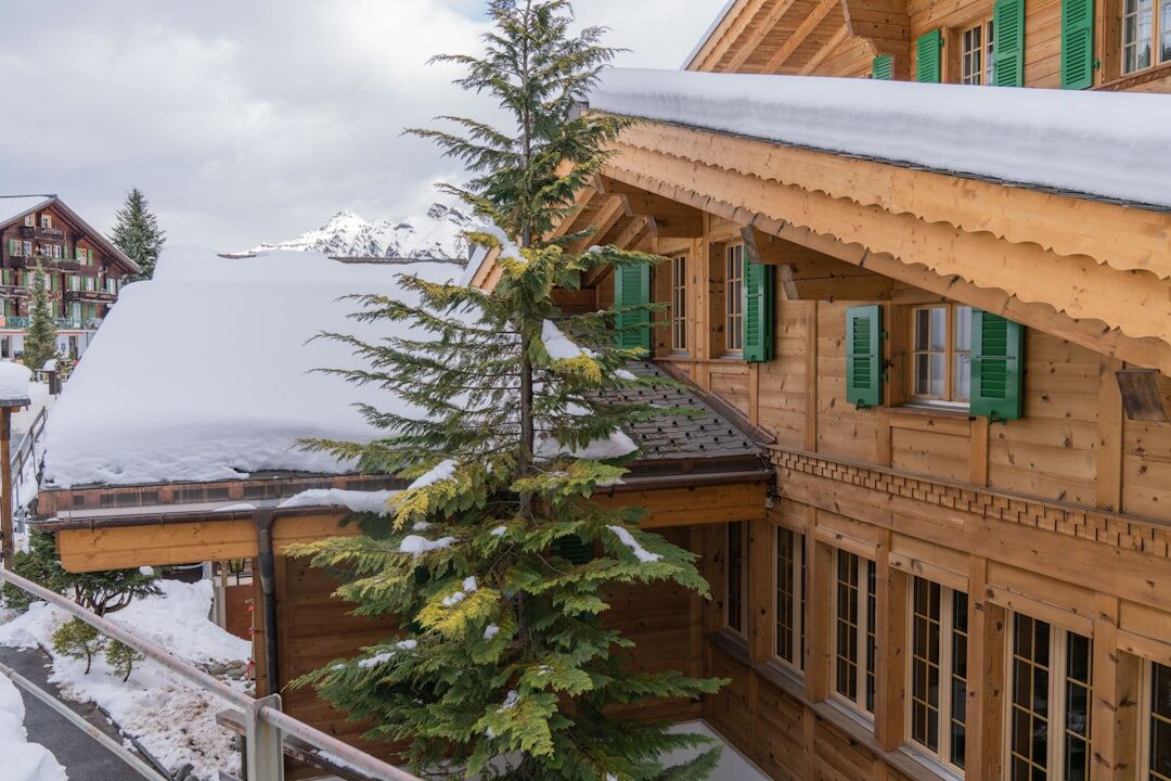 Exterior of a wooden alpine hotel chalet surrounded by snow